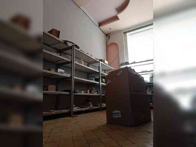 DarinaX webcam