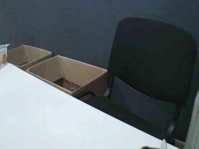 DarinaX webcam