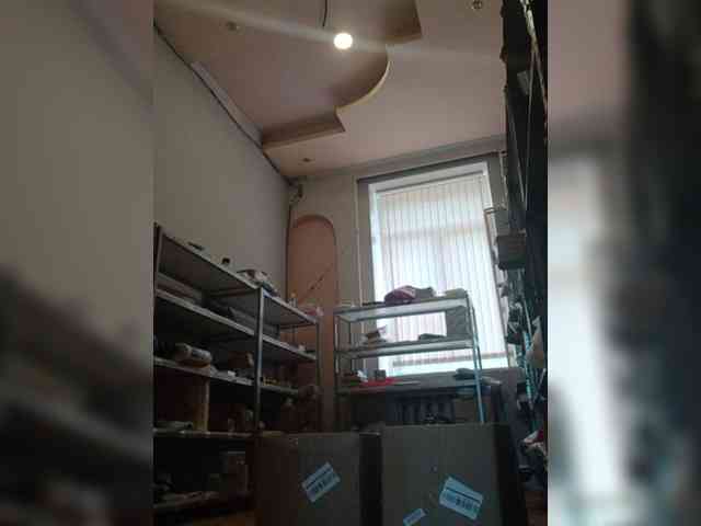 DarinaX webcam
