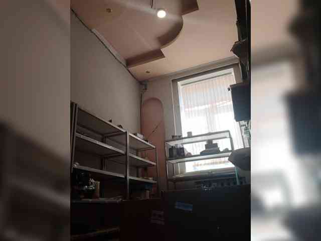 DarinaX webcam