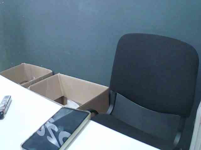 DarinaX webcam