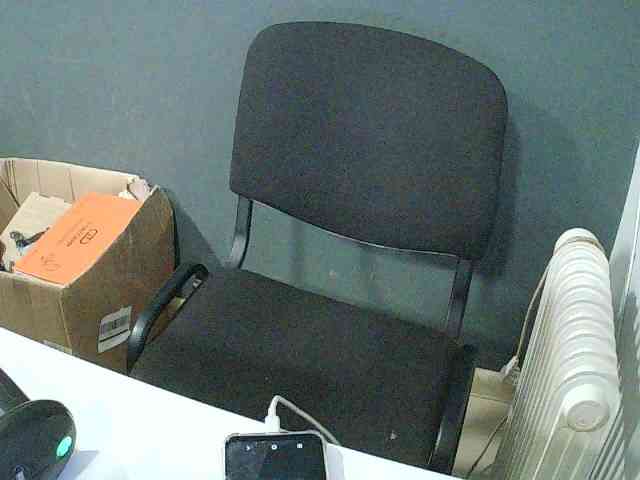 DarinaX webcam
