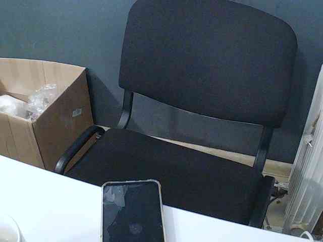 DarinaX webcam
