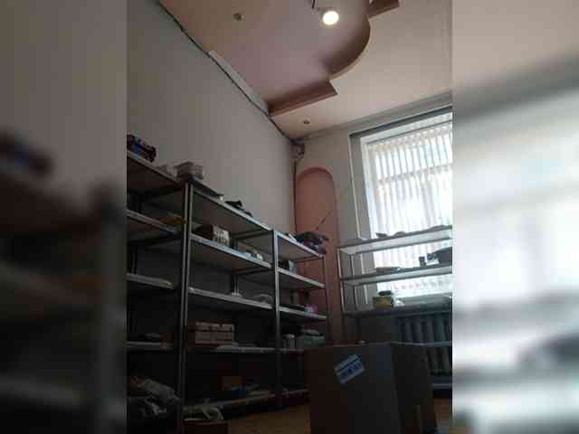 DarinaX webcam