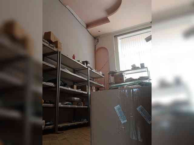 DarinaX webcam