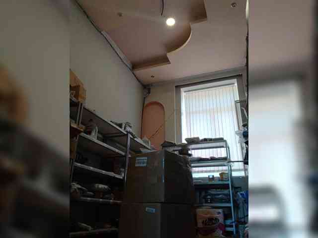 DarinaX webcam