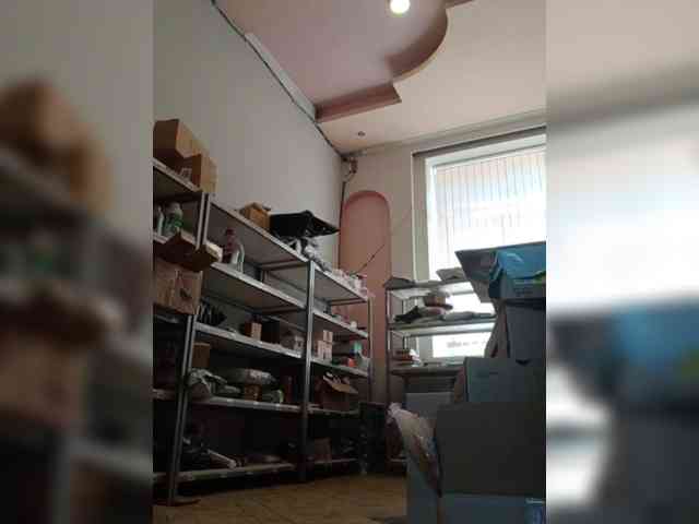 DarinaX webcam