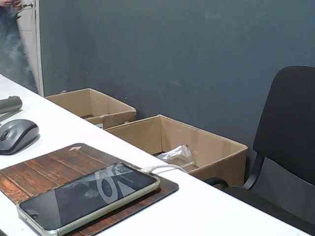 DarinaX webcam
