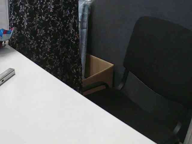DarinaX webcam