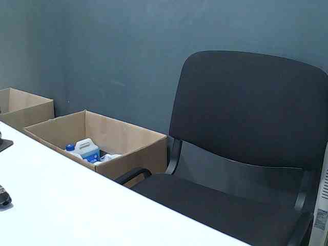 DarinaX webcam