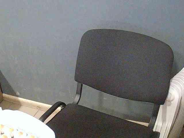 DarinaX webcam