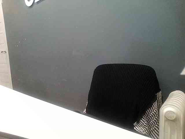 DarinaX webcam