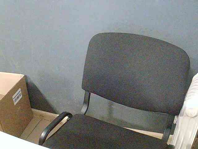 DarinaX webcam