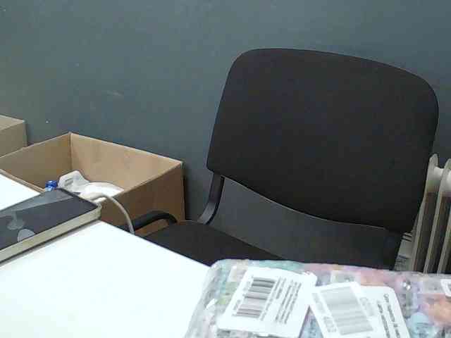 DarinaX webcam