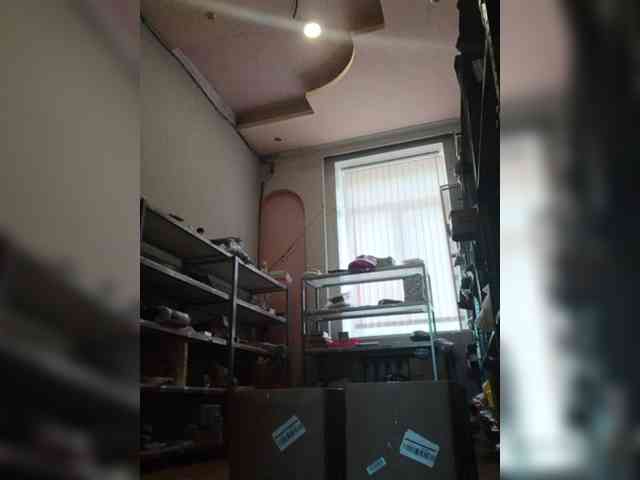 DarinaX webcam