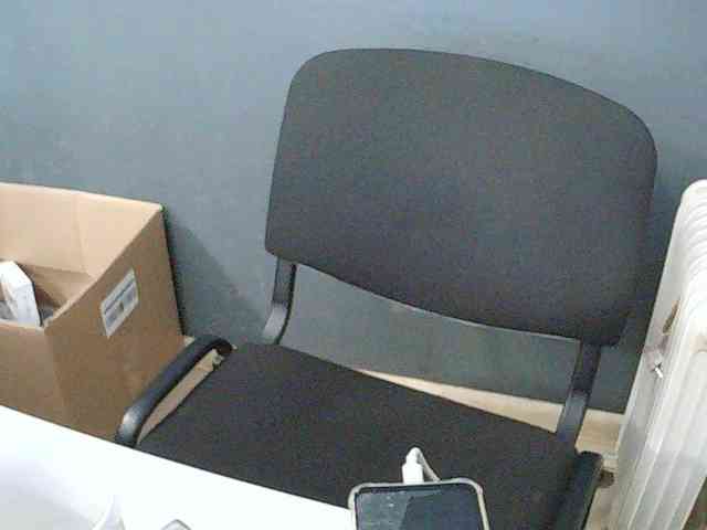 DarinaX webcam
