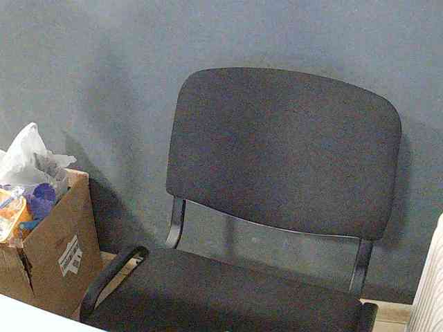 DarinaX webcam