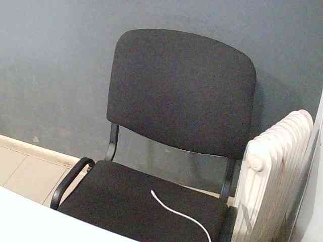DarinaX webcam