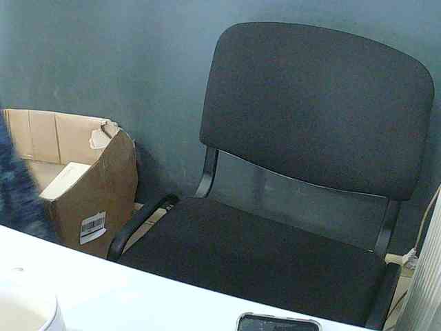 DarinaX webcam