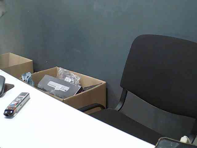 DarinaX webcam