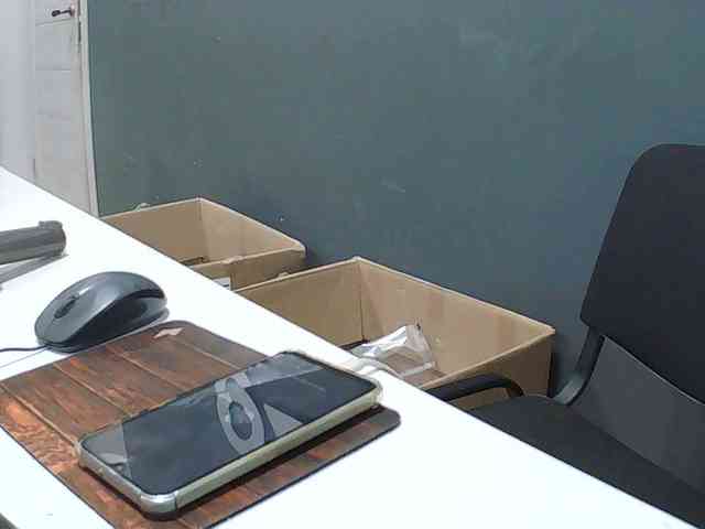 DarinaX webcam