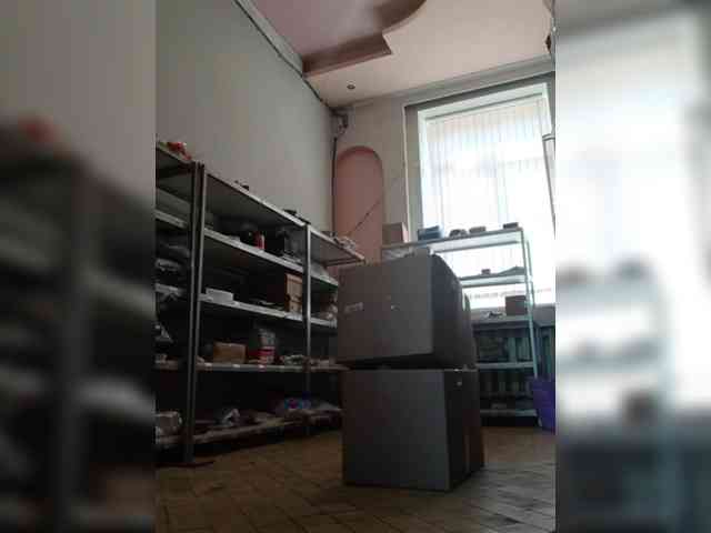 DarinaX webcam