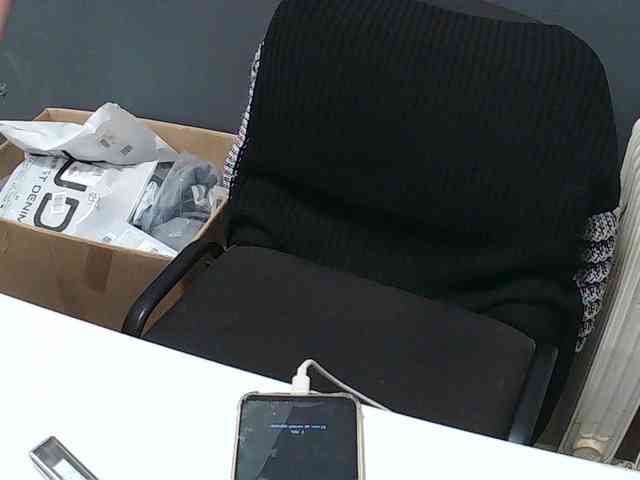 DarinaX webcam