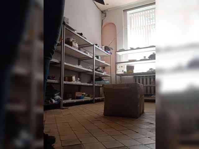 DarinaX webcam