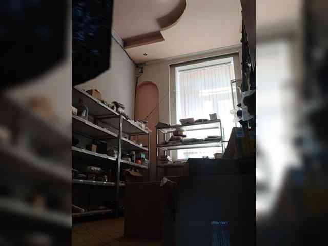 DarinaX webcam