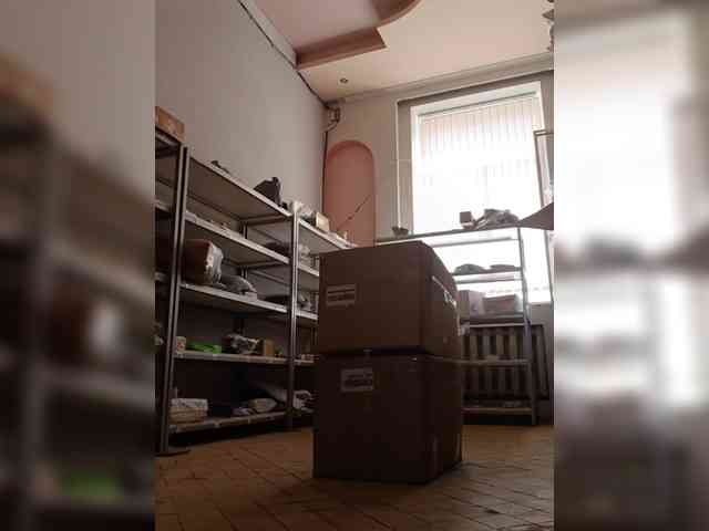 DarinaX webcam