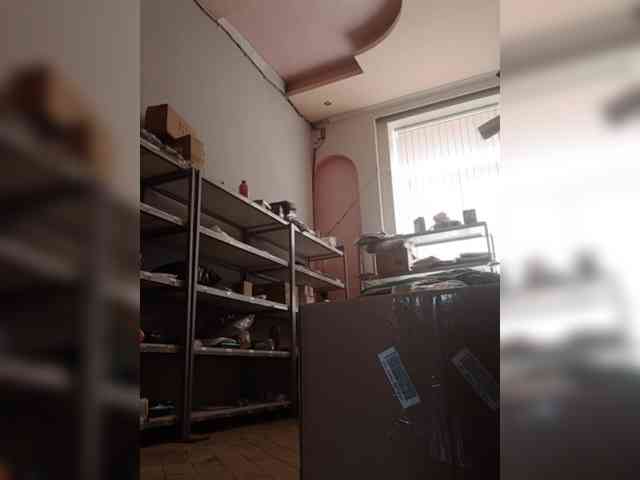 DarinaX webcam