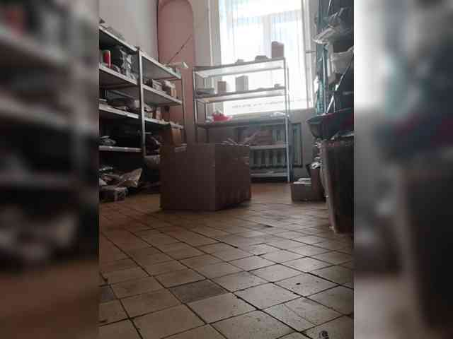 DarinaX webcam