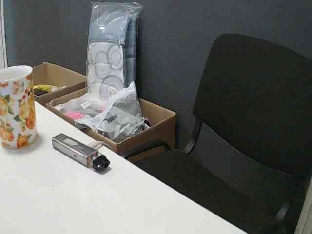 DarinaX webcam