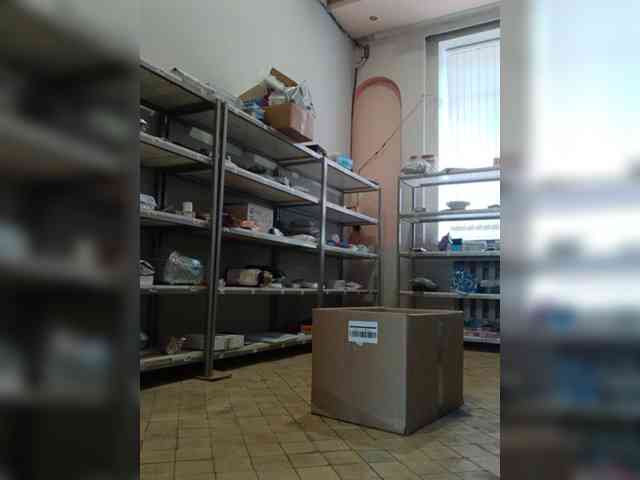 DarinaX webcam