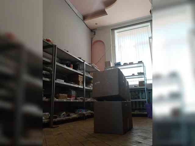 DarinaX webcam