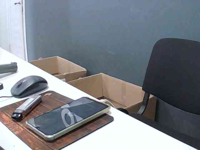 DarinaX webcam