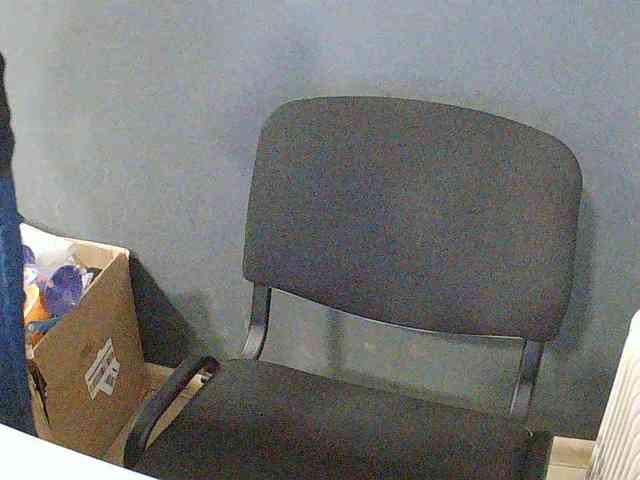 DarinaX webcam