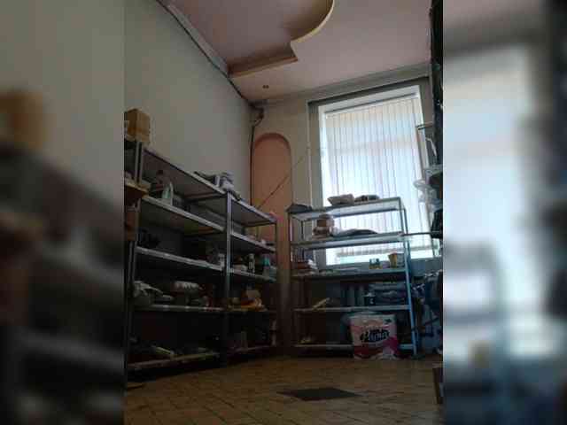 DarinaX webcam