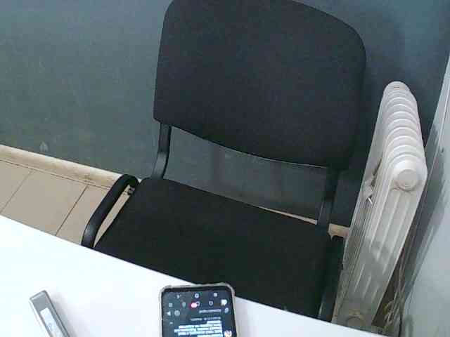 DarinaX webcam