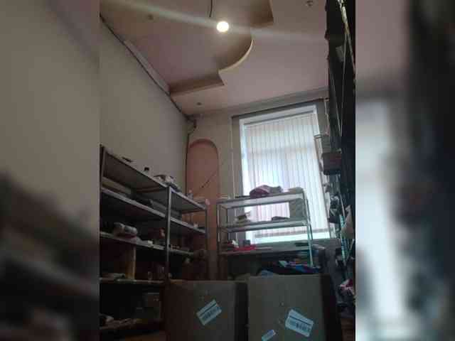 DarinaX webcam