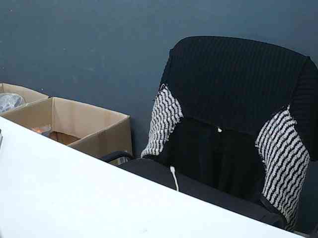 DarinaX webcam