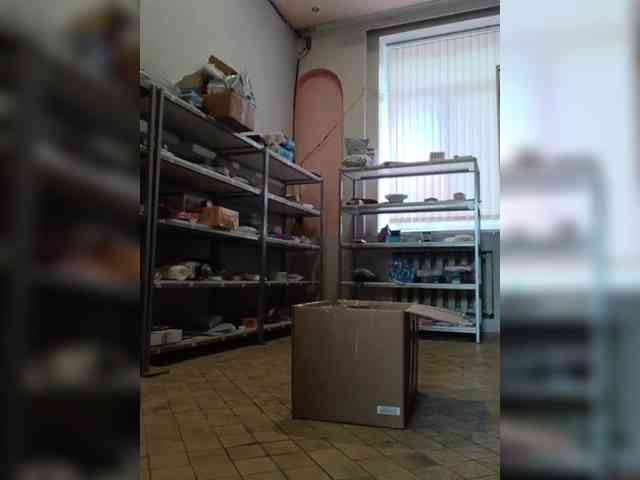 DarinaX webcam