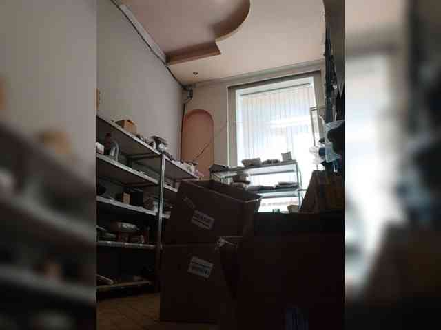 DarinaX webcam