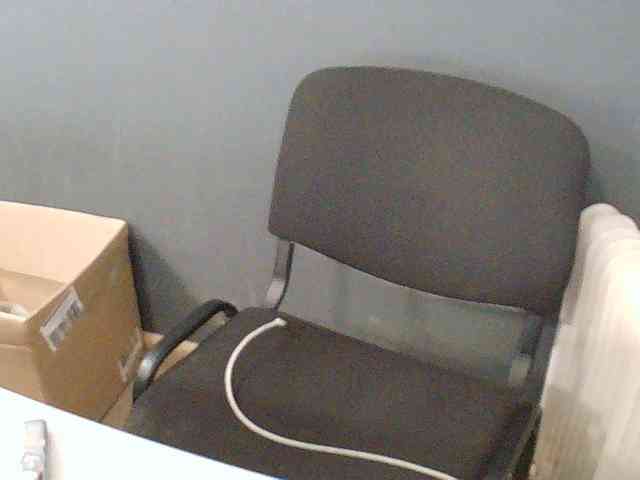 DarinaX webcam