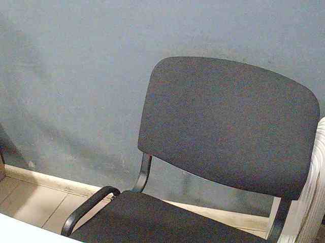 DarinaX webcam