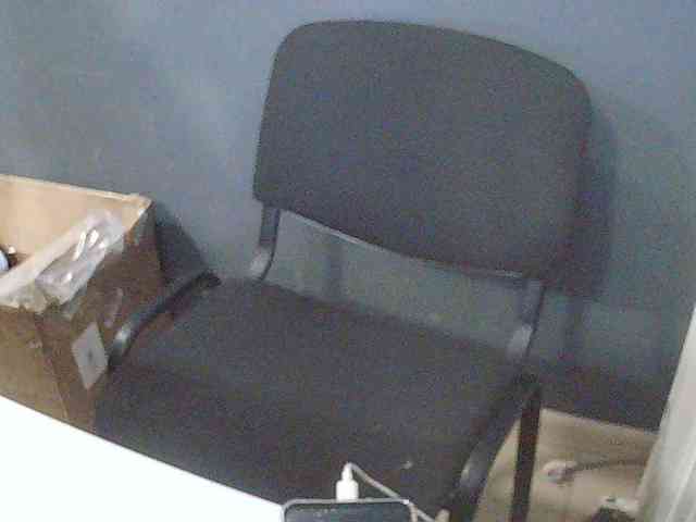 DarinaX webcam