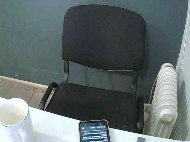 DarinaX webcam