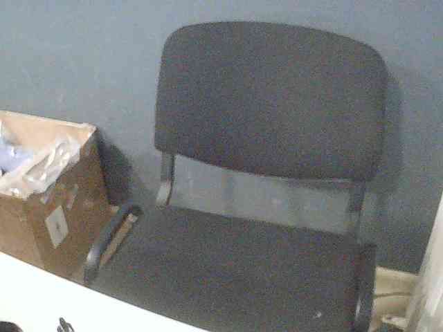 DarinaX webcam