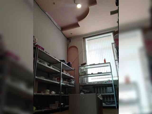 DarinaX webcam