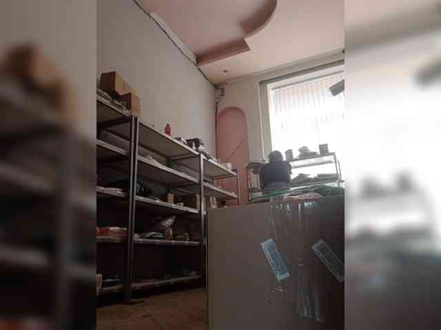 DarinaX webcam